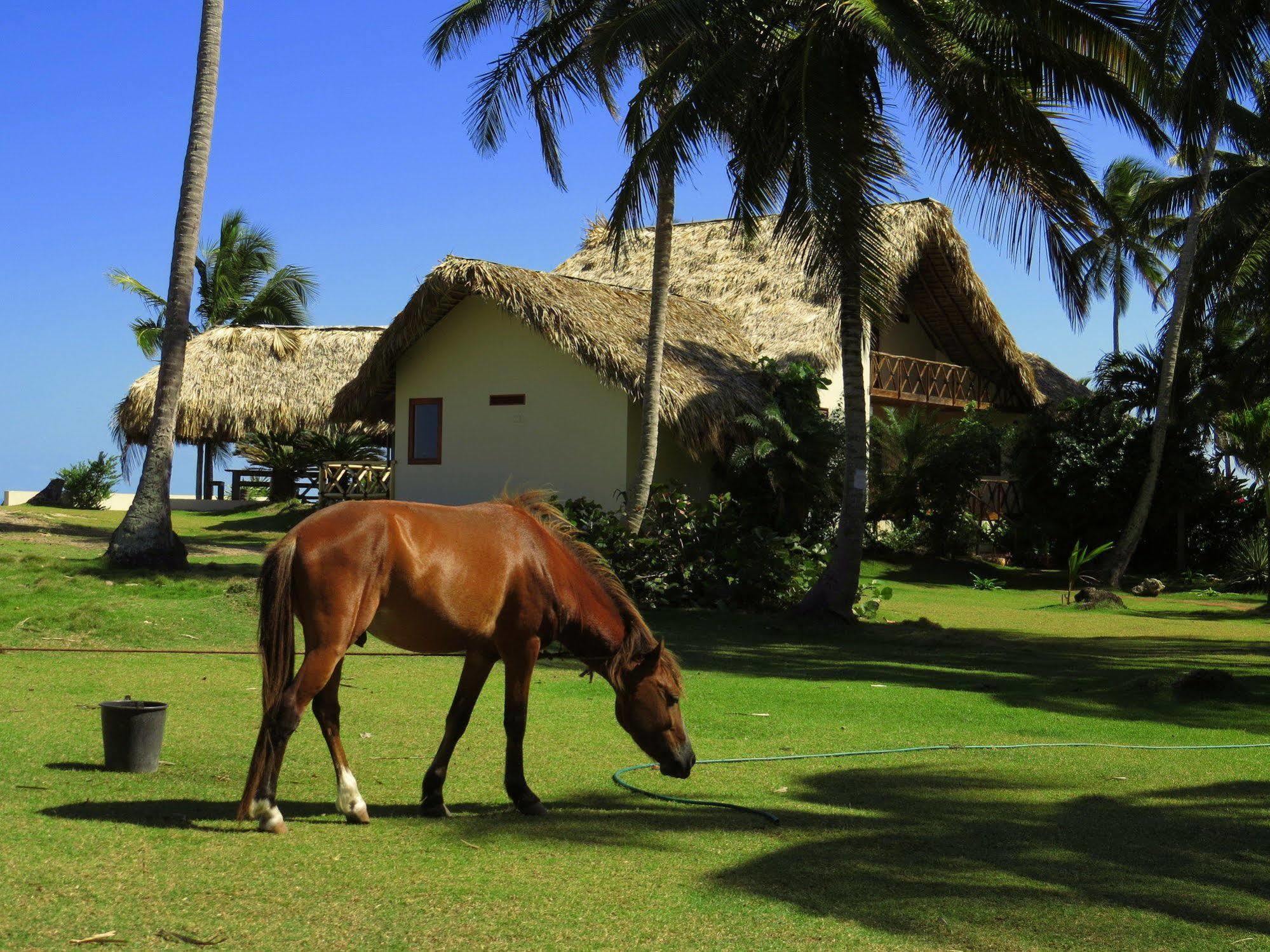 Villa Punta Coral El Frances Ngoại thất bức ảnh